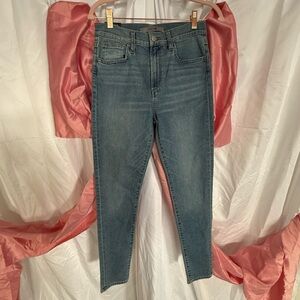 Joe's Jeans Women's Skinny Jeans in Blue